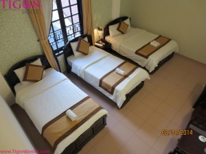Tigon Premium Hue hotel